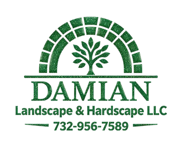 Damian Landscape & Hardscape LLC